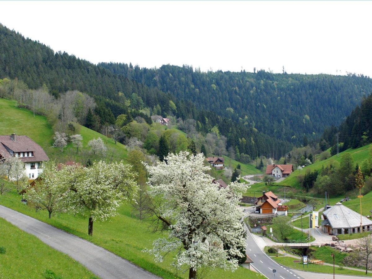 Landpension Am Sommerhang Bad Rippoldsau-Schapbach Dış mekan fotoğraf