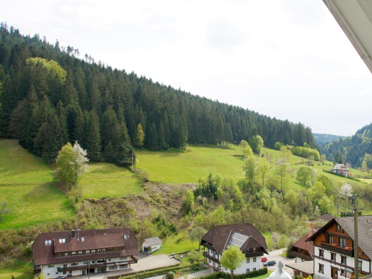 Landpension Am Sommerhang Bad Rippoldsau-Schapbach Dış mekan fotoğraf