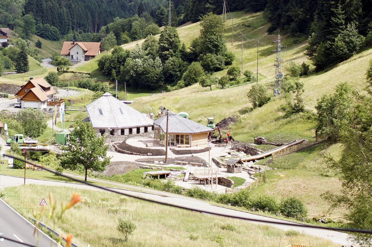 Landpension Am Sommerhang Bad Rippoldsau-Schapbach Dış mekan fotoğraf